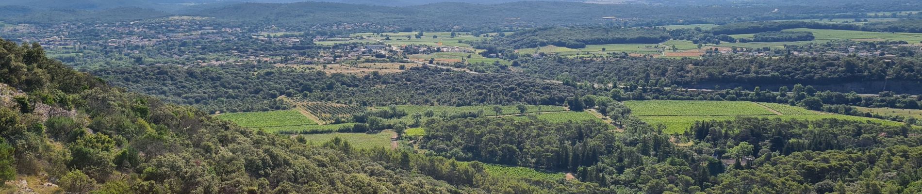 Randonnée Marche Sauve - Sauve-Quissac-Vidourle - Photo