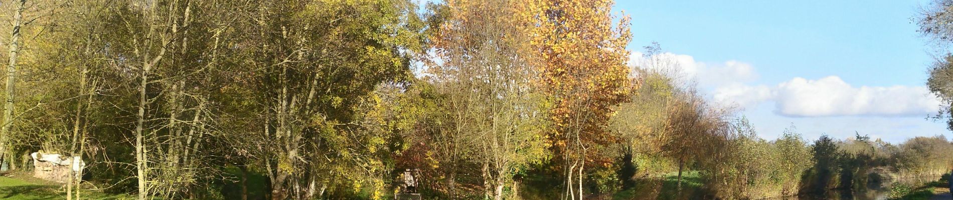 Tocht Stappen Coulon - Village de La Sèvre (pont Irleau)9,4km - Photo