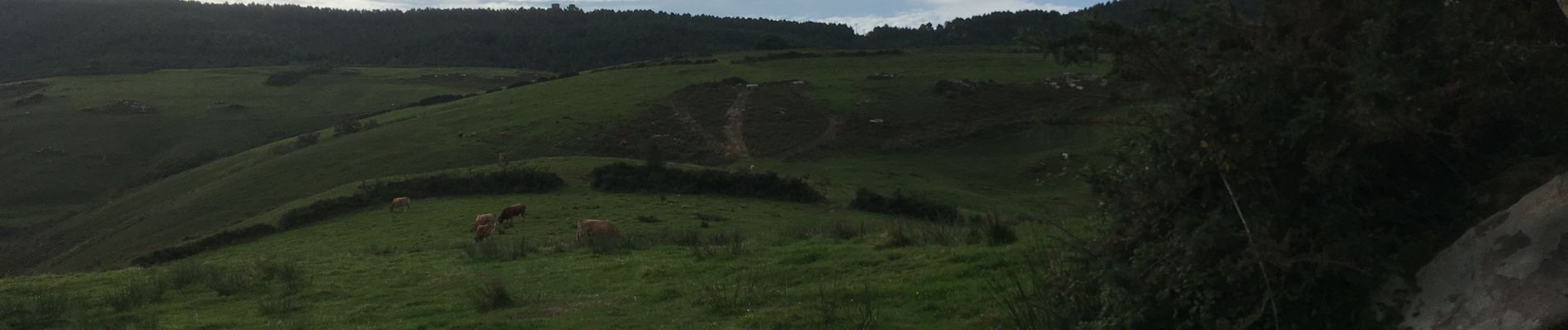 Trail Walking Pasaia -  Piemont du Jaizkibel  Pays Basque Espagne - Photo