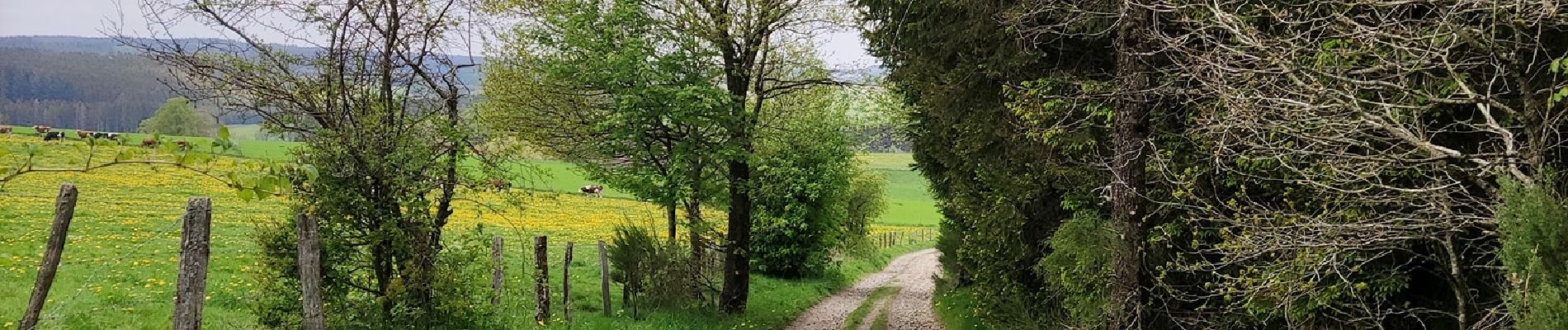 Tocht Stappen Gouvy - Au fil de l'eau - Gouvy   - Photo