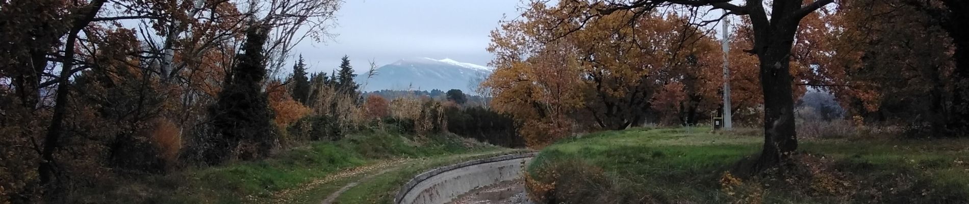 Randonnée Marche Carpentras - Serres 84 - Photo