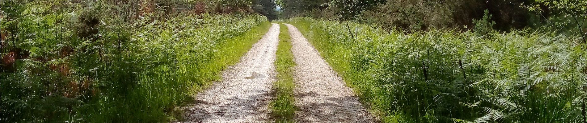 Excursión Senderismo Le Buisson-de-Cadouin - Cadouin 11,6km - Photo