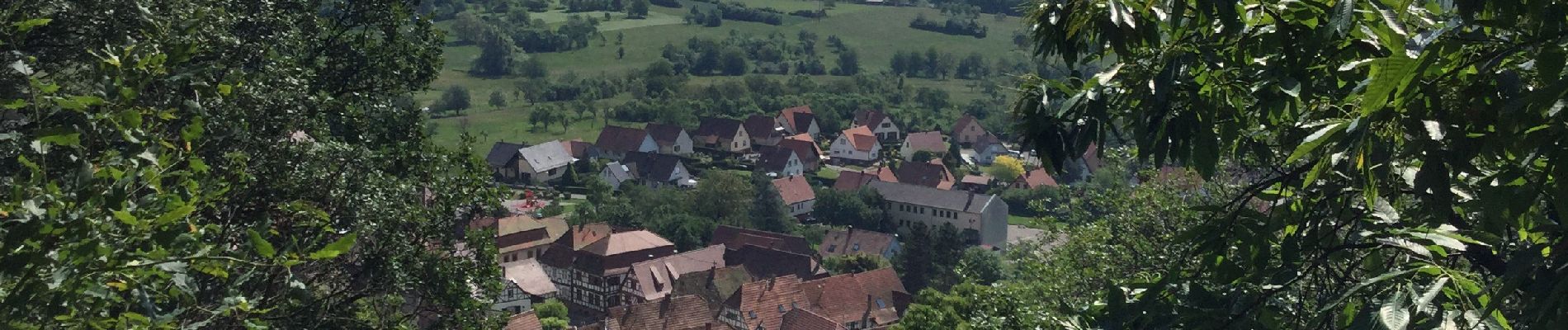 Tocht Stappen Niederbronn-les-Bains - Niederbronn Oberbronn - Photo