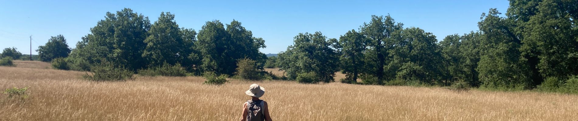 Randonnée Marche Montfaucon - Le bastit carlucet  - Photo