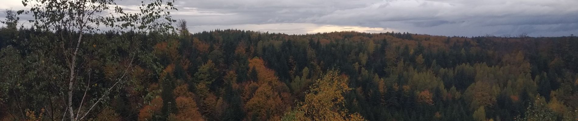 Randonnée V.T.T. Raon-l'Étape - VTT La Trouche- Neufmaisons 03/11/19 - Photo