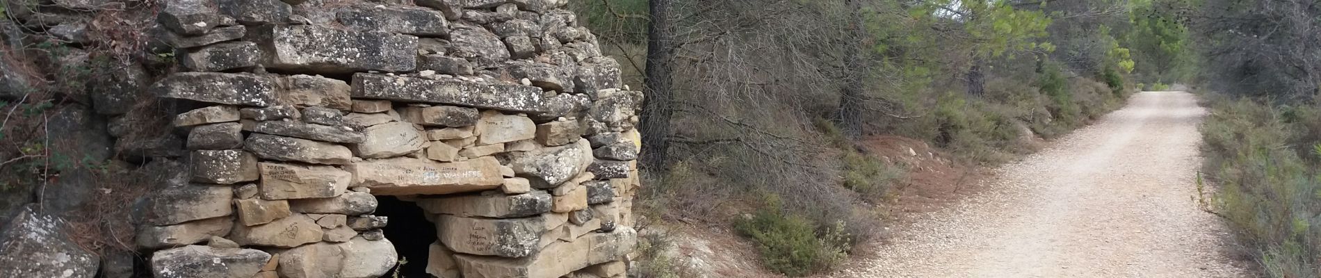 Excursión Senderismo Los Arcos - Viana - Photo