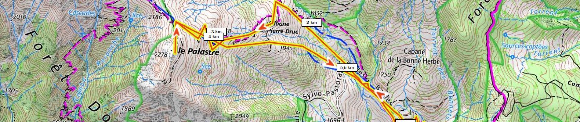 Tour Schneeschuhwandern Saint-Jean-Saint-Nicolas - le Palastre D+700m depuis les Richards  - Photo