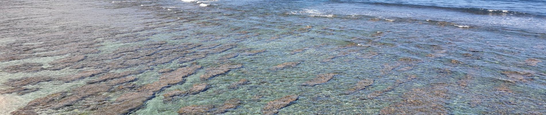 Tocht Stappen Saint-Paul - L'Ermitage - St Leu par le littoral. - Photo