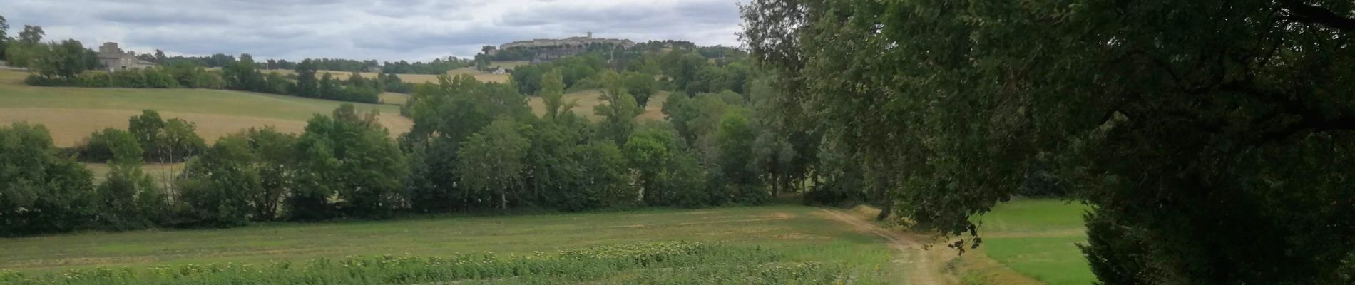 Trail Walking Castelnau-de-Montmiral - Chemins Montmiralais - Photo