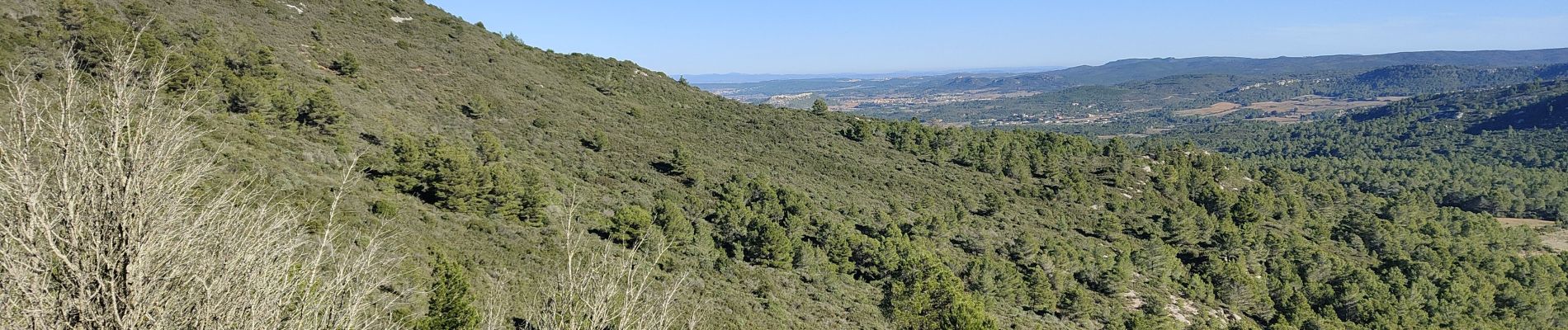 Percorso Marcia Thézan-des-Corbières - cirque de Viviès Chantal  - Photo