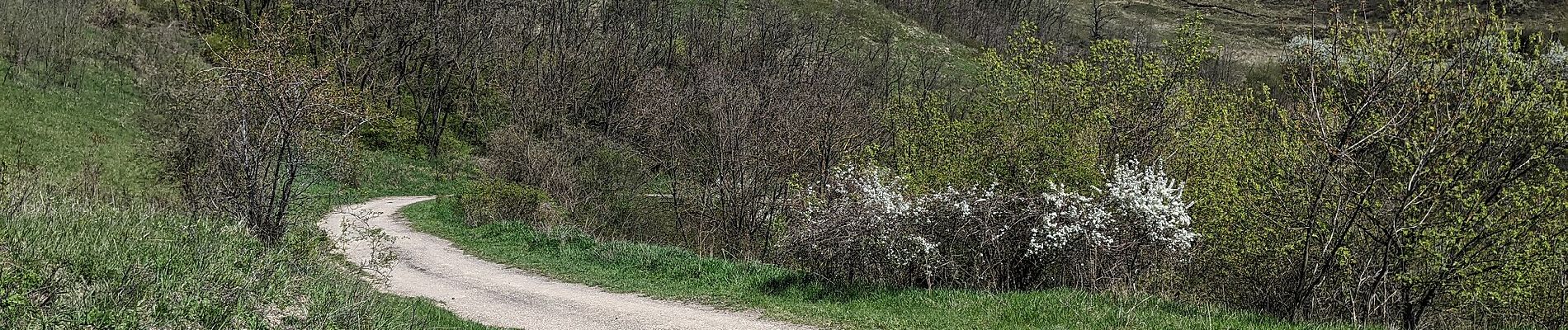 Randonnée A pied Hustopeče - Mandloňová NS - Photo