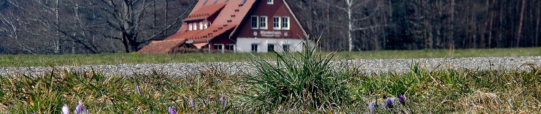 Percorso A piedi Calw - AugenBlick-Runde Bad Teinach (Zettelberg) - Photo