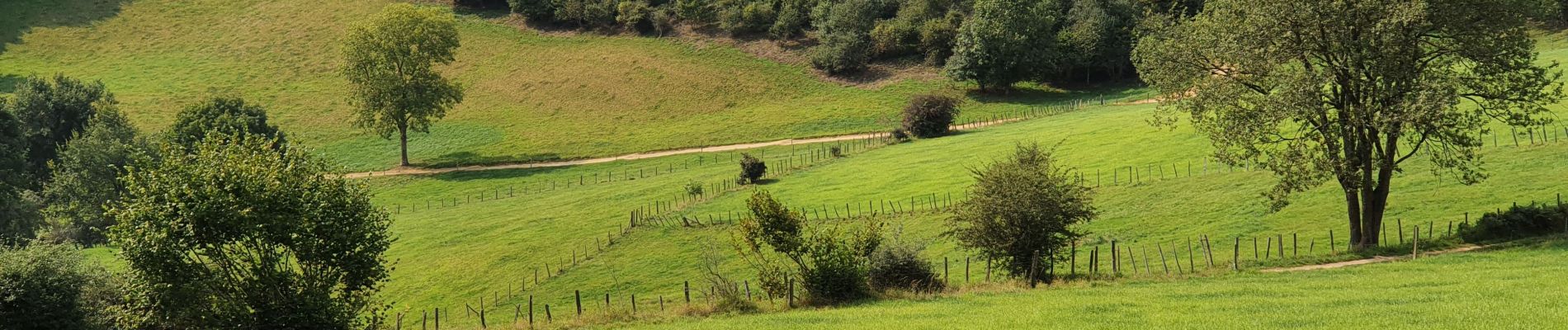 Randonnée Marche Yzeron - Yzeron - Les hauteurs d'Yzeron - Photo