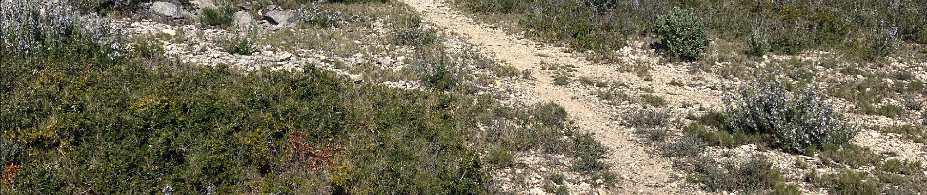 Tour Pfad Cheval-Blanc - Regalon-Mayorques-TrouduRat(24K 520D+) - Photo