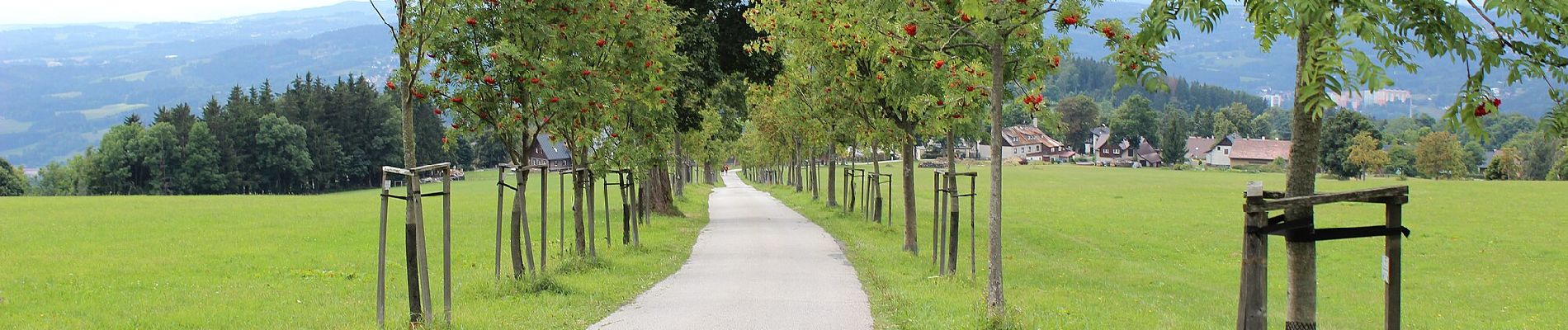 Tocht Te voet Jablonec nad Jizerou - [Ž] Jablonec n. Jiz. - Hvězda - Photo