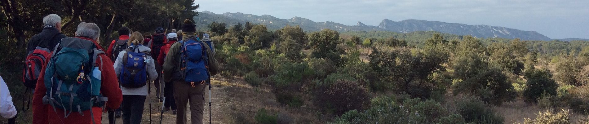 Randonnée Marche Orgon - PF-Orgon - La Plaine des Alpilles - Photo