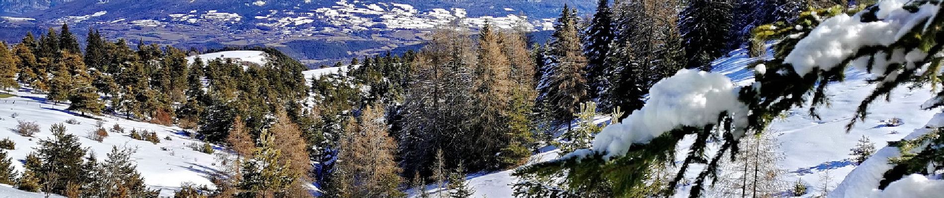 Tour Skiwanderen Selonnet - 20210218 - Tête grosse - Chabanon - Selonnet - Photo