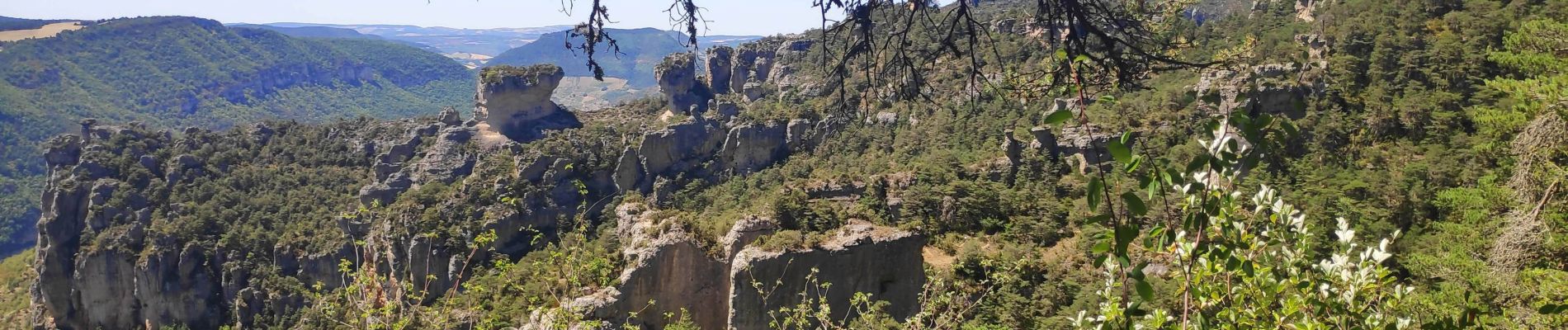 Tocht Stappen Le Rozier - corniche du Tarn et de la Jonte - Photo