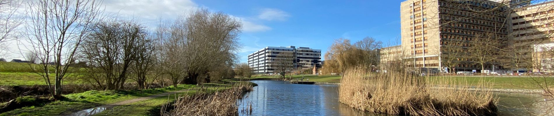 Randonnée Marche Anderlecht - Près d’Erasme dans le pajotenland - Photo