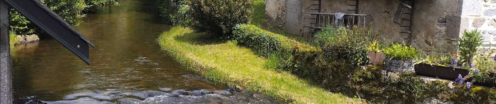 Randonnée Marche Ferrières-sur-Sichon - Arboretum  - Photo