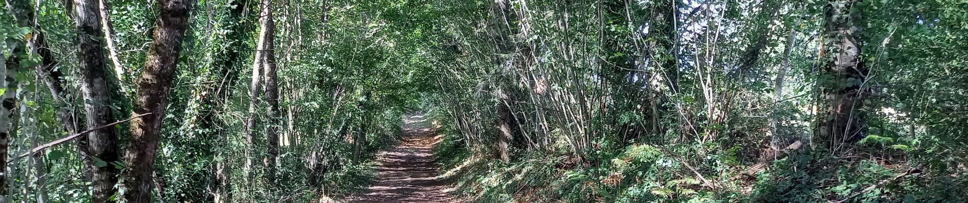 Tocht Stappen Moutier-Malcard - Moutier 11.7km le 20/08/2020 - Photo