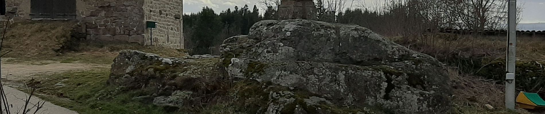 Randonnée Marche Usson-en-Forez - autour de Danieck  - Photo