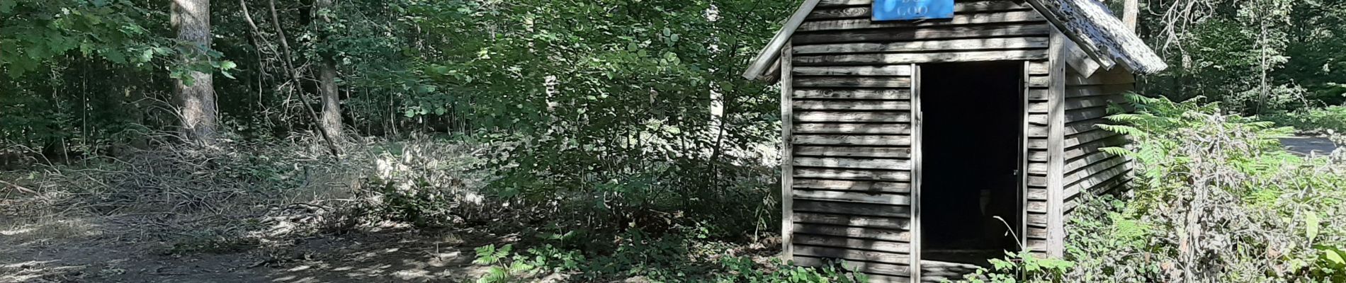 Randonnée Marche Viroinval - Forêt de Nismes - Regniessart - Photo