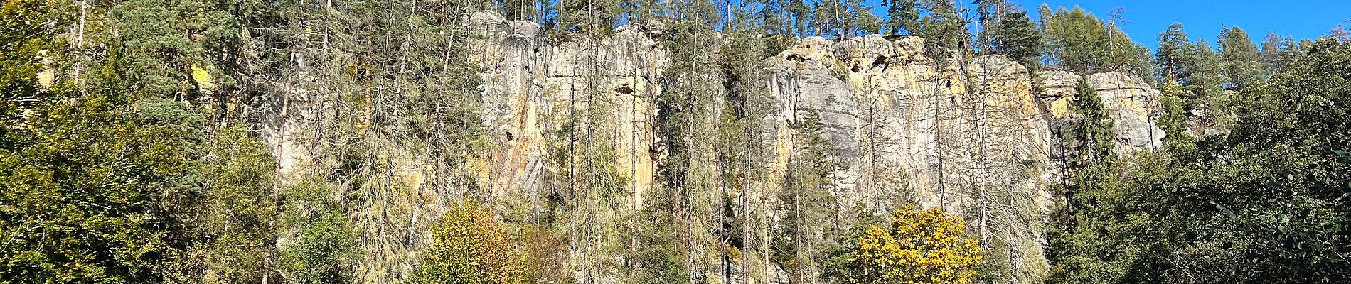 Randonnée A pied Sebnitz - Blauer Strich, Sächsische Schweiz (rechtselbisch) - Photo