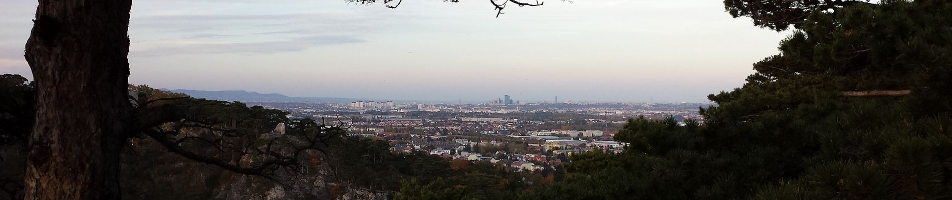 Excursión A pie Gemeinde Mödling - Knorr Bremse Runde (Mödling) - Photo