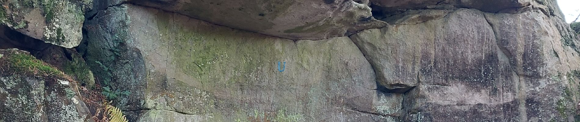 Punto de interés Fontainebleau - U_ La Roche de Merlin l'Enchanteur - Photo