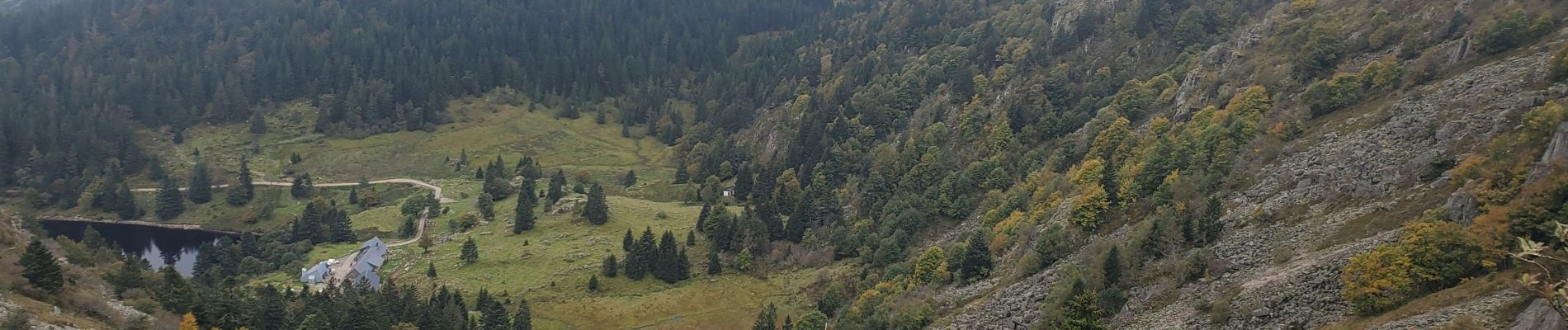 Tour Wandern Sulzern - Soultzeren 4 lacs blanc vert noir truites 17kms 722m  - Photo