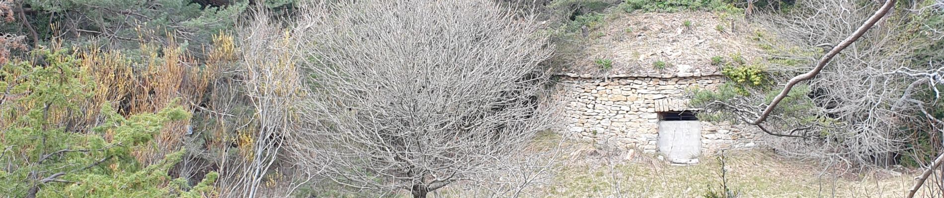 Tour Wandern Plan-d'Aups-Sainte-Baume - Le col des Glacières - Photo