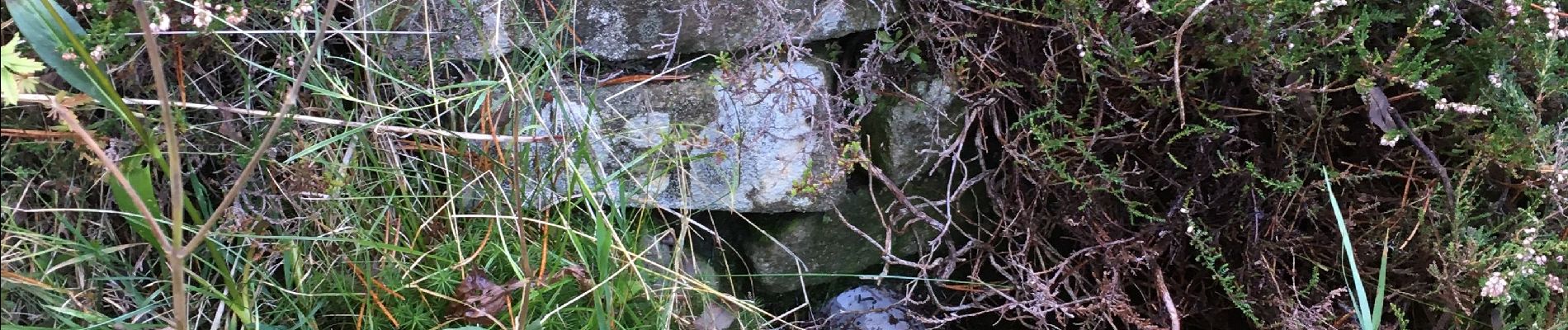 Punto de interés Astet - Source de l'Ardèche - Photo