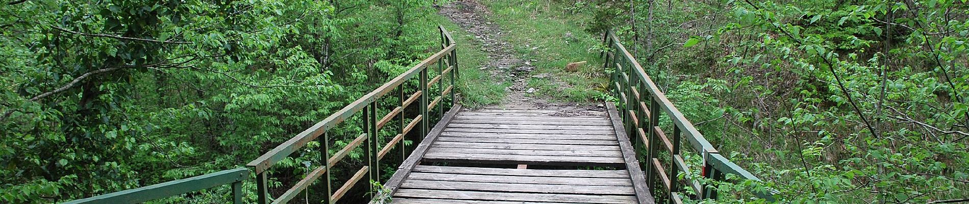 Percorso A piedi Bagno di Romagna - IT-BT7 - Photo