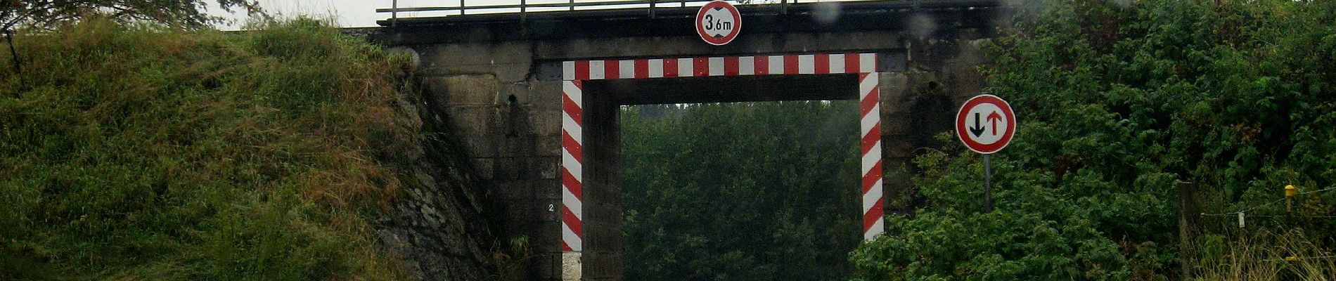 Percorso A piedi Rehau - Mit der Arnika zum Kornberg - Photo