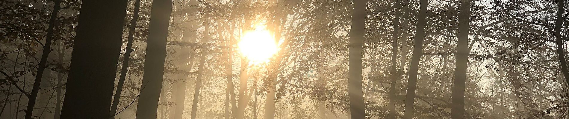 Tocht Te voet Onbekend - NaturZeitReise 4 - Verborgene Zeitzeichen - Photo