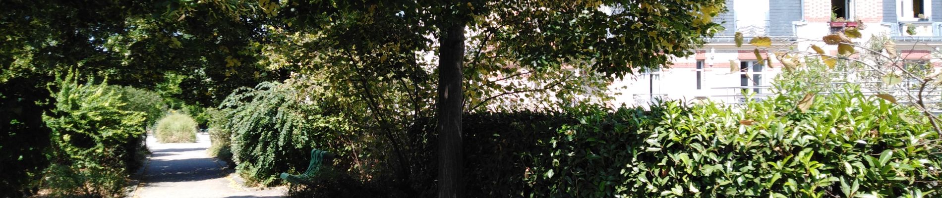 Point d'intérêt Paris - coulée verte-Paris au niveau des toit  - Photo