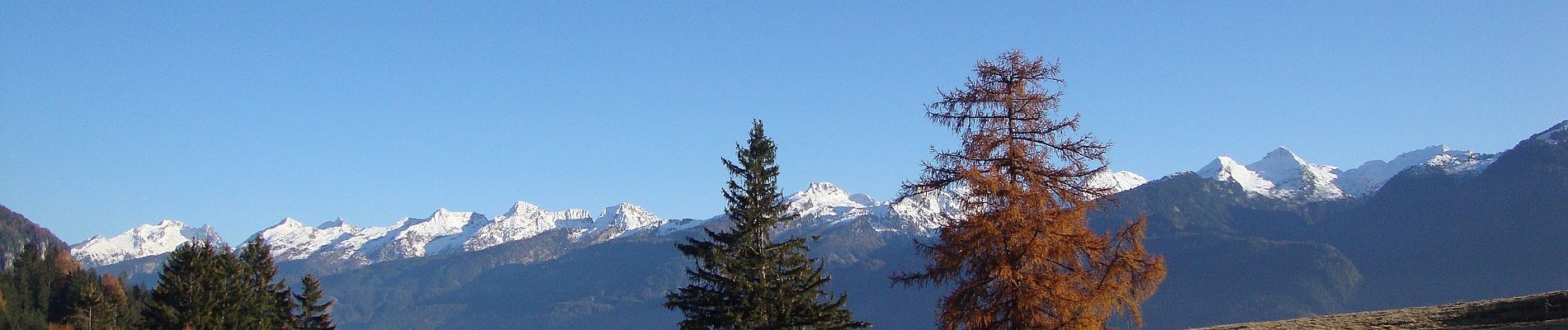 Tocht Te voet Tesero - Sentiero forestale Cucal - Photo