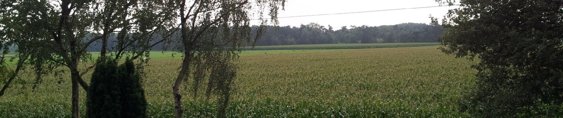 Randonnée A pied Hünxe - Hünxe Rundweg A1 - Photo