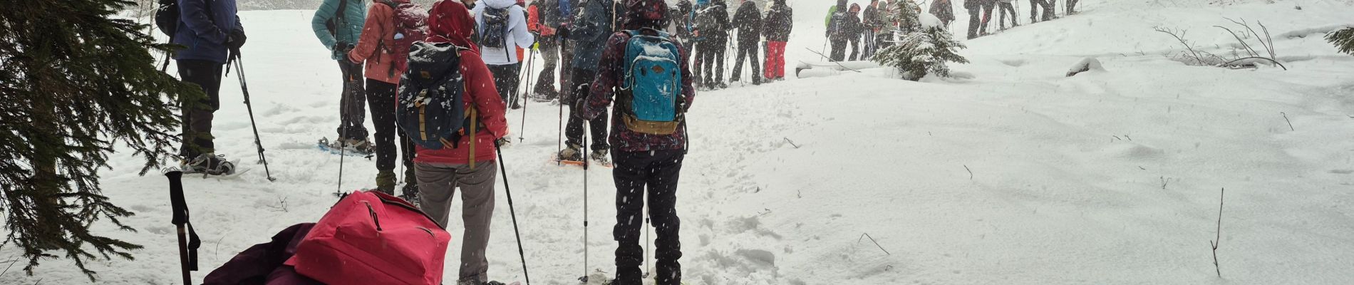 Excursión Raquetas de nieve Giron - giron - Photo