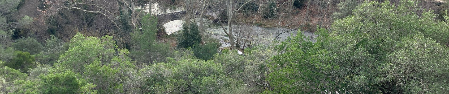 Trail Walking Prades-le-Lez - Restinclières - Photo