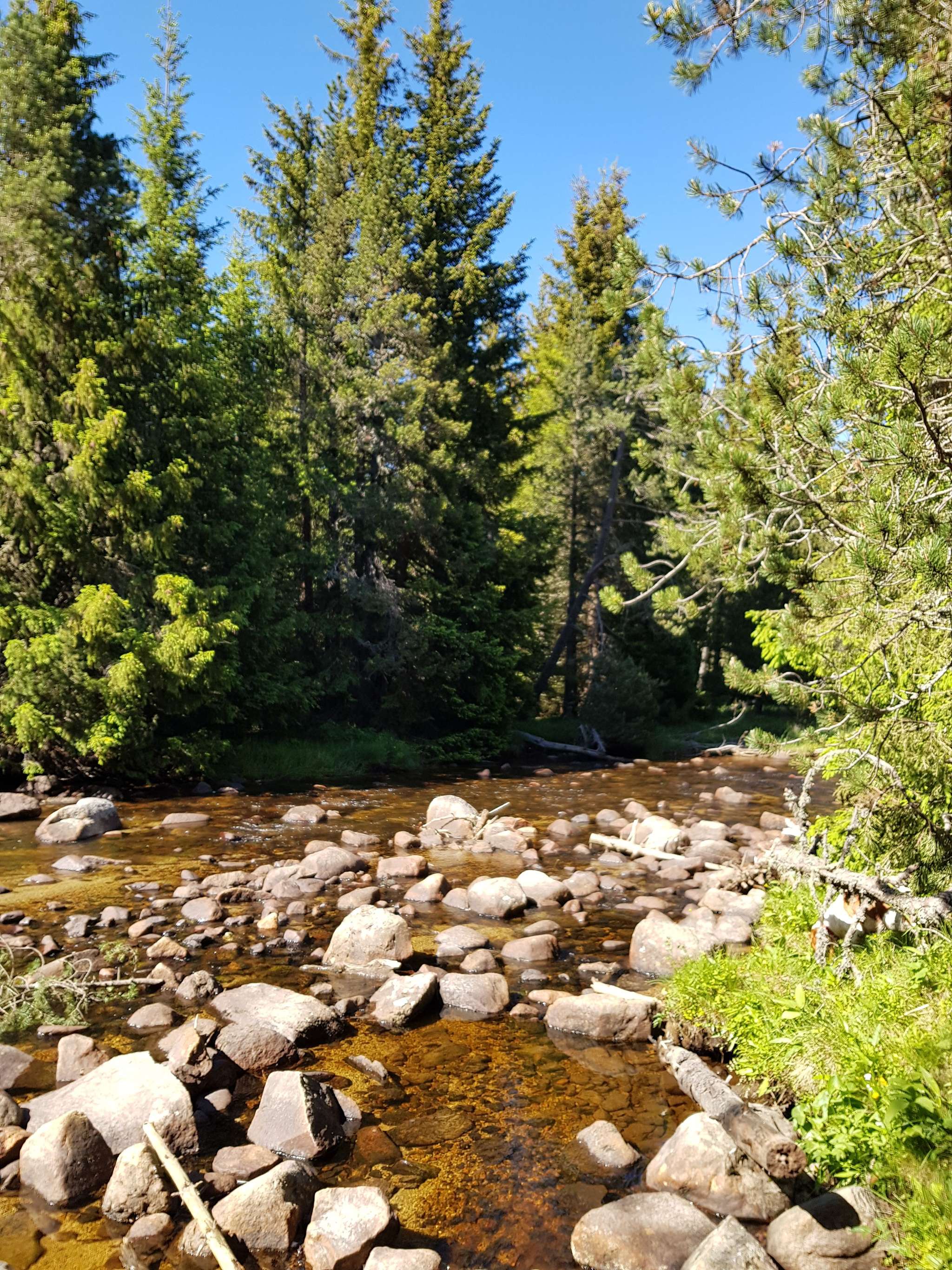 Le Petit Canada - Pla De Barrès Font Romeu
