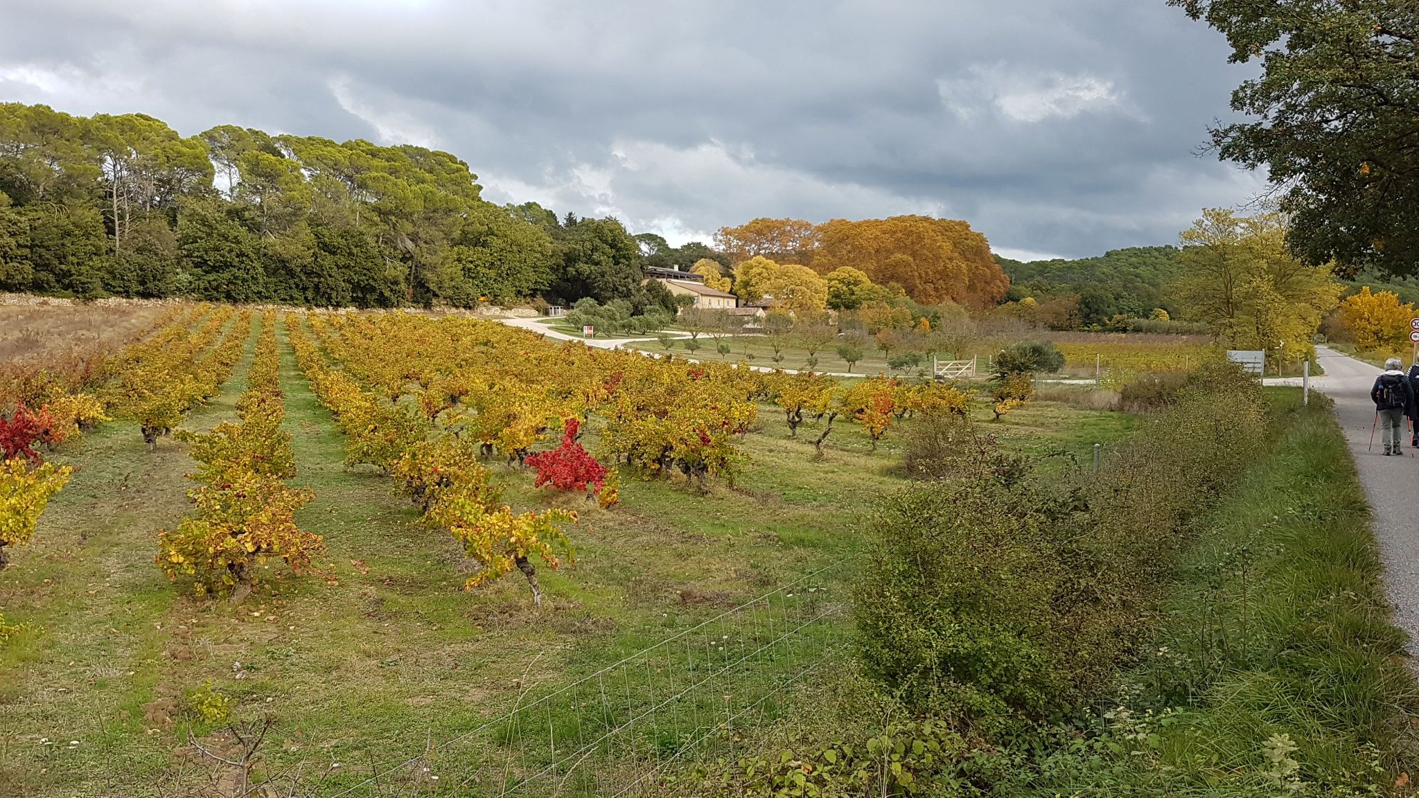 Randonnée Marche à SaintAntoninduVar SAINTANTONIN DU VAR ENTRE