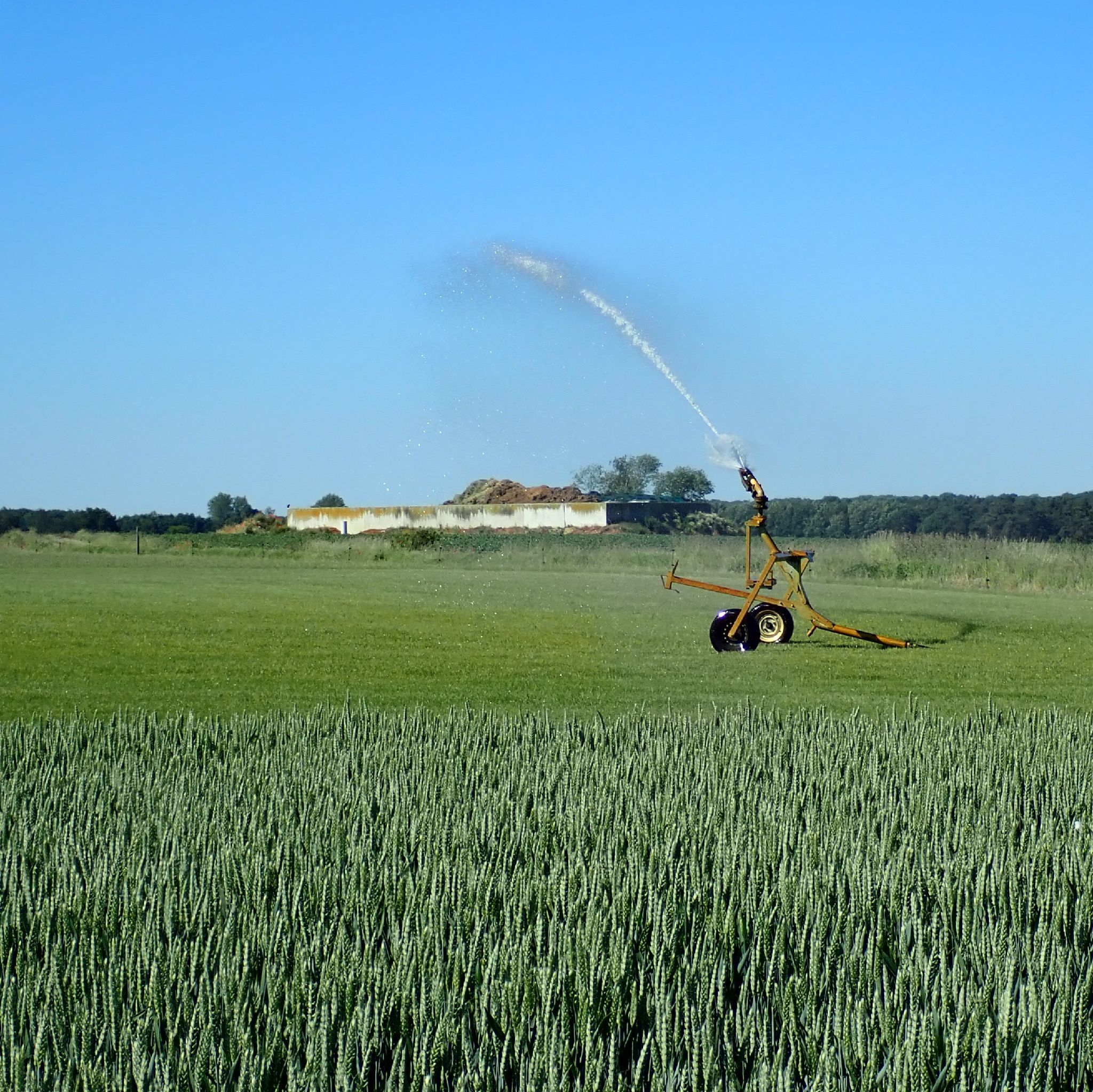 Points de vue panoramas Arrosage du gazon vendu au mètre carré à Grez