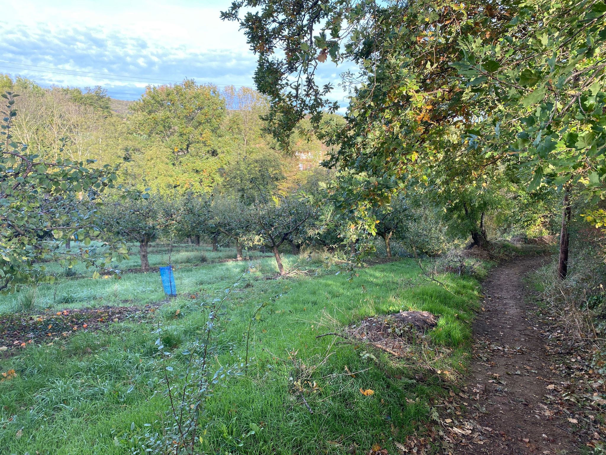 Trail Walking At Messimy De Messimy Au Belvedere Du Piragoy En Boucle Sitytrail