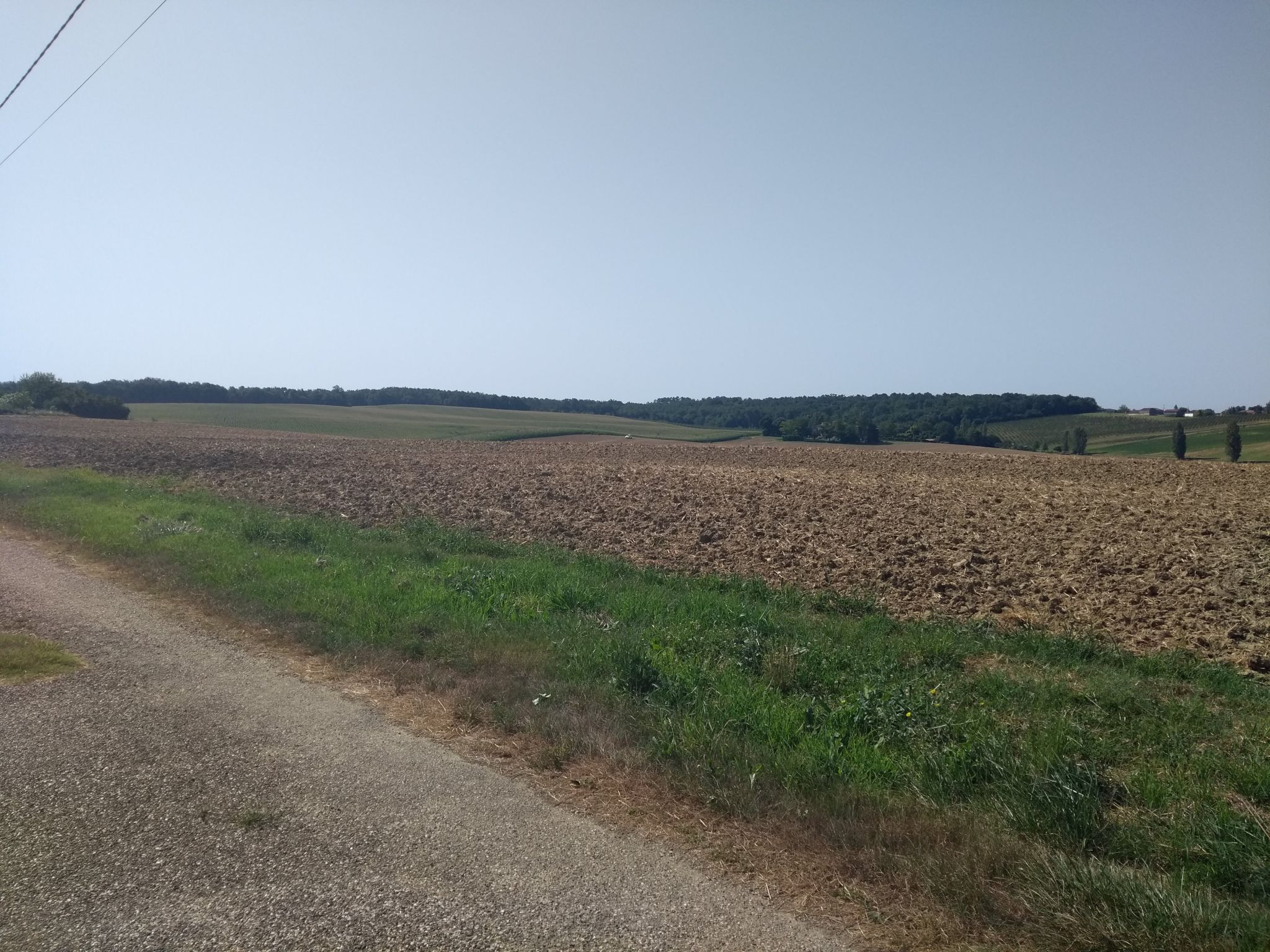 Randonnée Marche à LévignacdeGuyenne A travers les champs et vergers