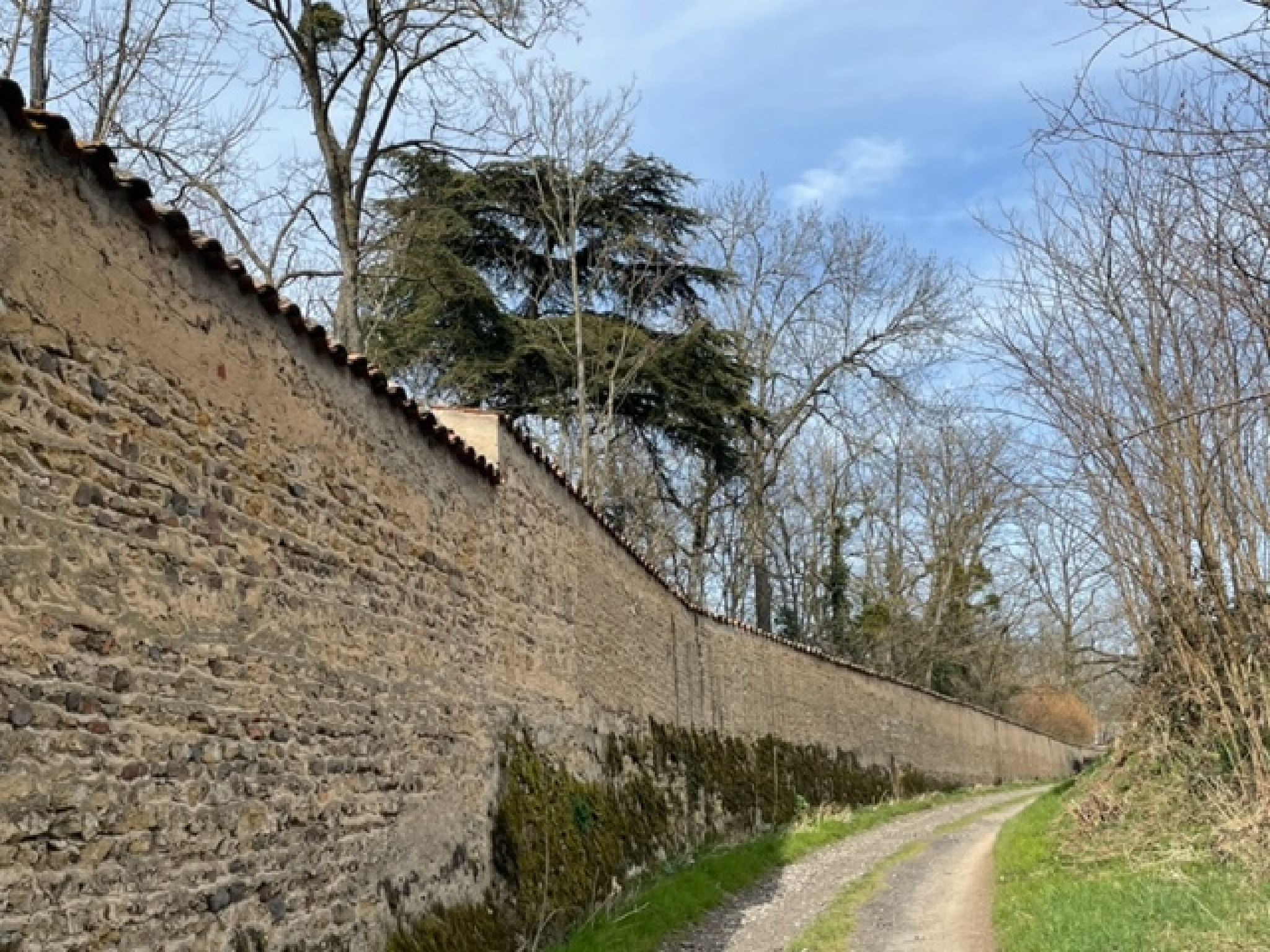 Châteaux Château de Vougy à Vougy - Points remarquables - SityTrail