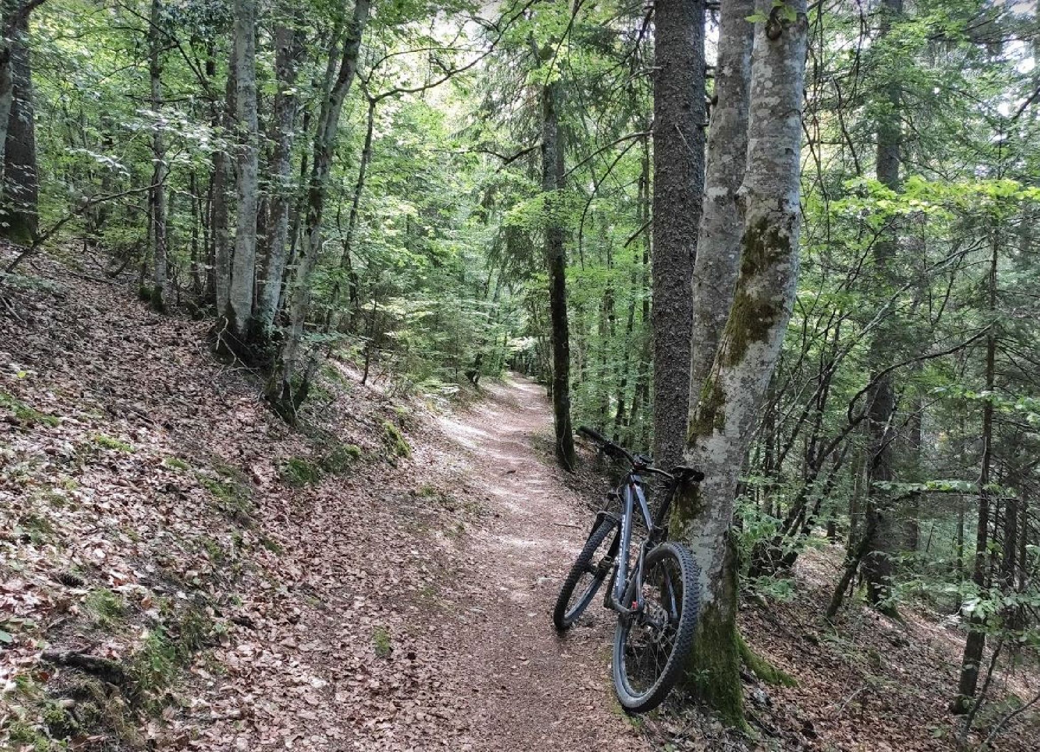 Randonnée V.T.T. à VillarddeLans VTT SR De VillarddeLans à Lans En Vercors (Quasiment le