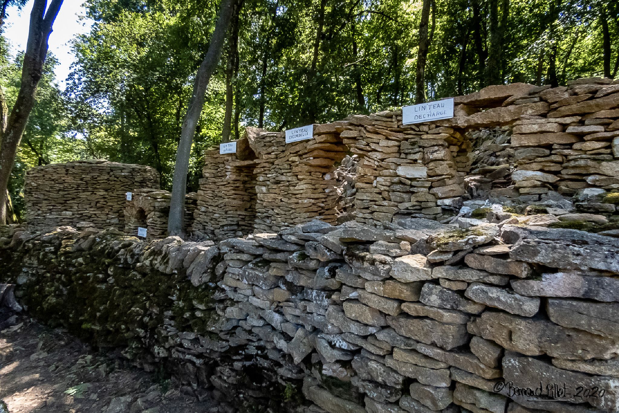 Randonnée Marche à SAINTCYRAUMONTD'OR Le mont Thou et le chemin