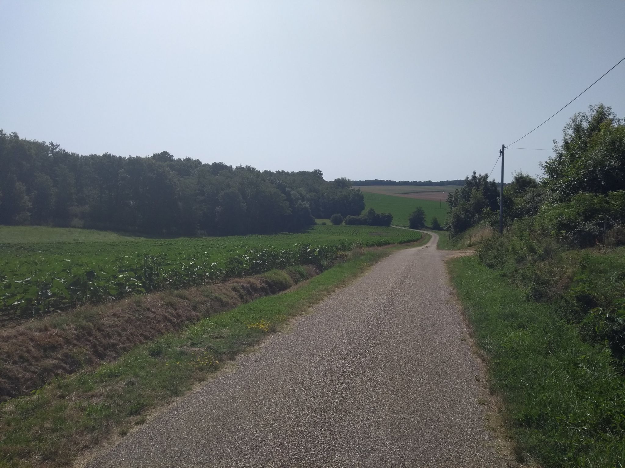Randonnée Marche à LévignacdeGuyenne A travers les champs et vergers